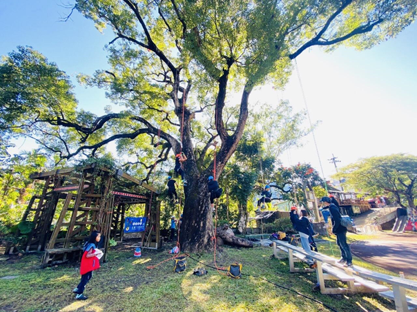 「攀樹」≠「爬樹」？在樹上找到運動療癒力 還能守護自然的綠色體驗