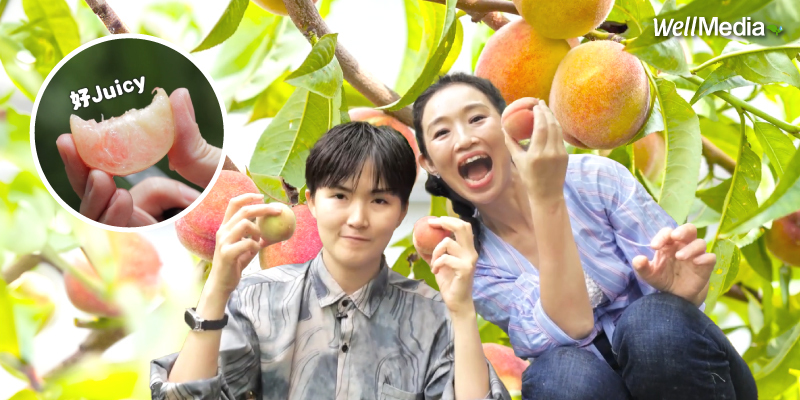 從部落困境走向永續共榮　泰雅三光五月桃翻轉山城命運