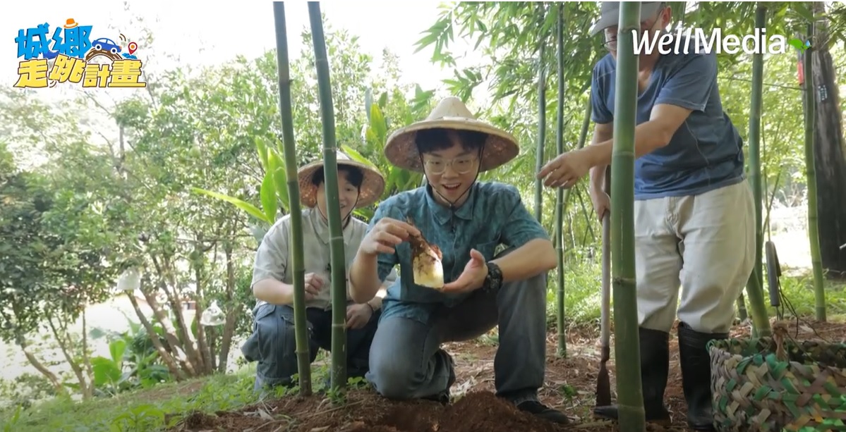 15分鐘走進北投秘境：嚐節氣美食與冠軍火山咖啡香