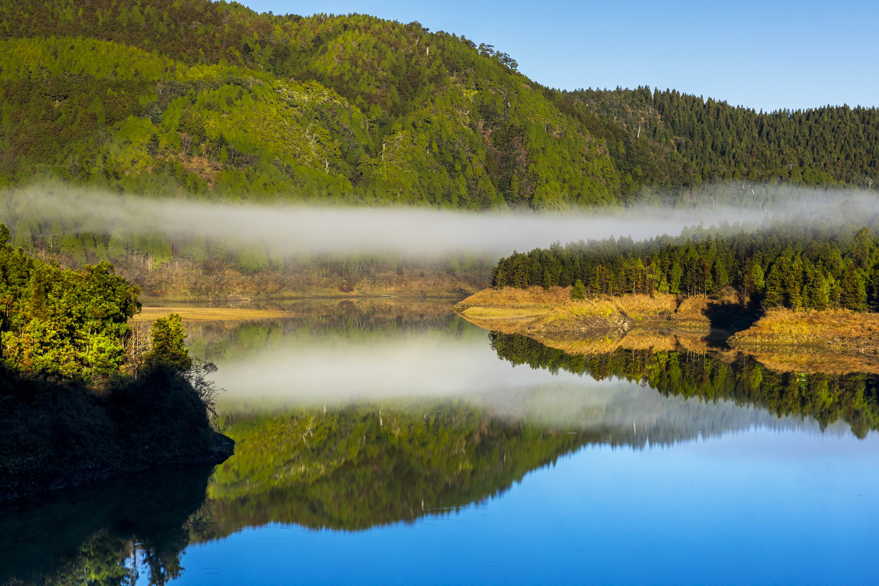 這裡是台灣最寂靜的地方：翠峰湖獲國際「寧靜」認證、艾美獎錄音師推「聲景」教育