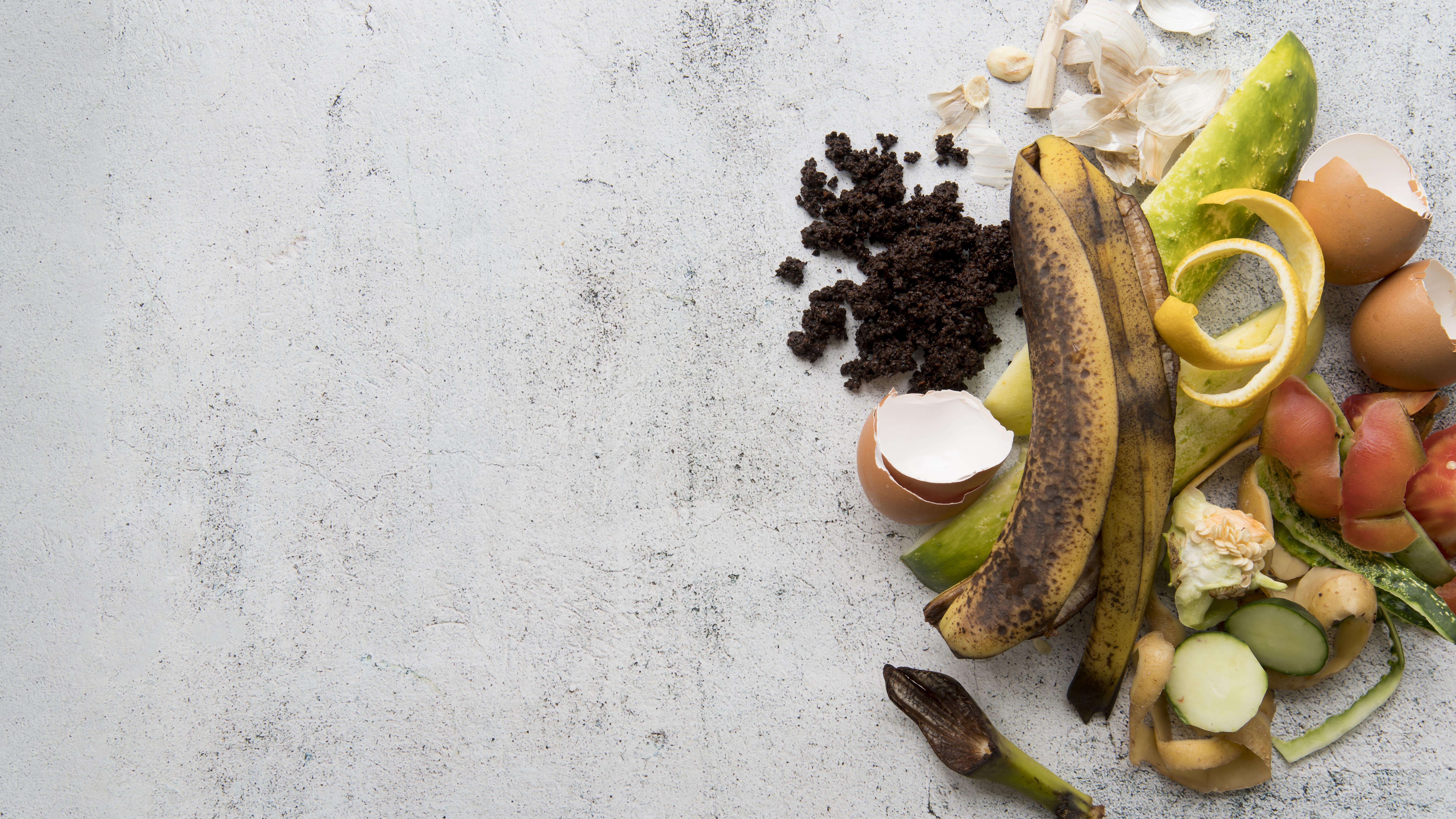 10億噸食物被丟棄、8億人口卻沒東西吃！避免浪費  英國推「賞味期」取代「有效期」