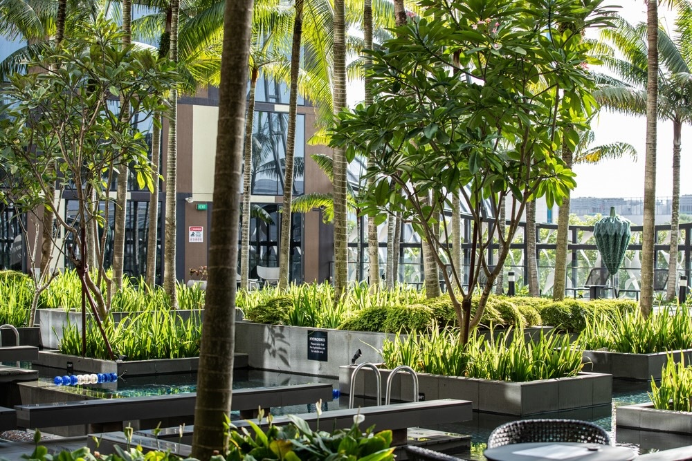 住飯店會多 2.5 倍的用水量！超過 9 成遊客支持永續旅宿，三大國際認證成為旅遊新指標