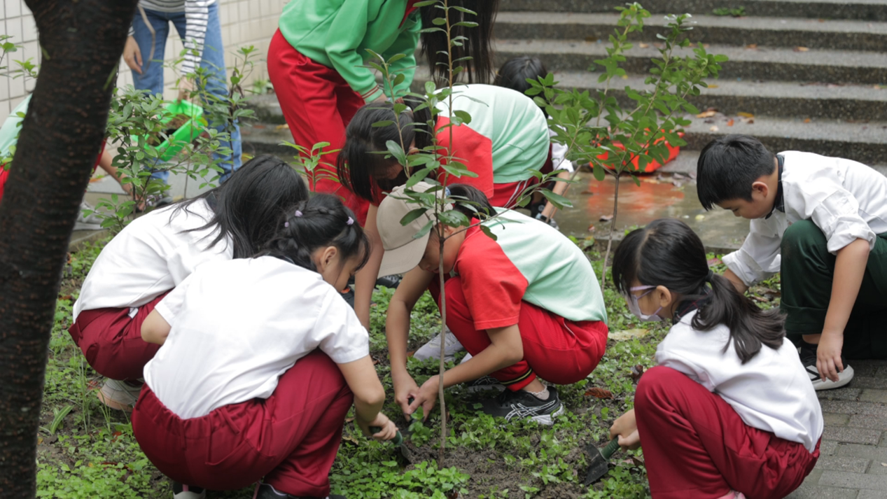 臺灣生態學校顛覆想像 學生走出教室 從問題中找到解答