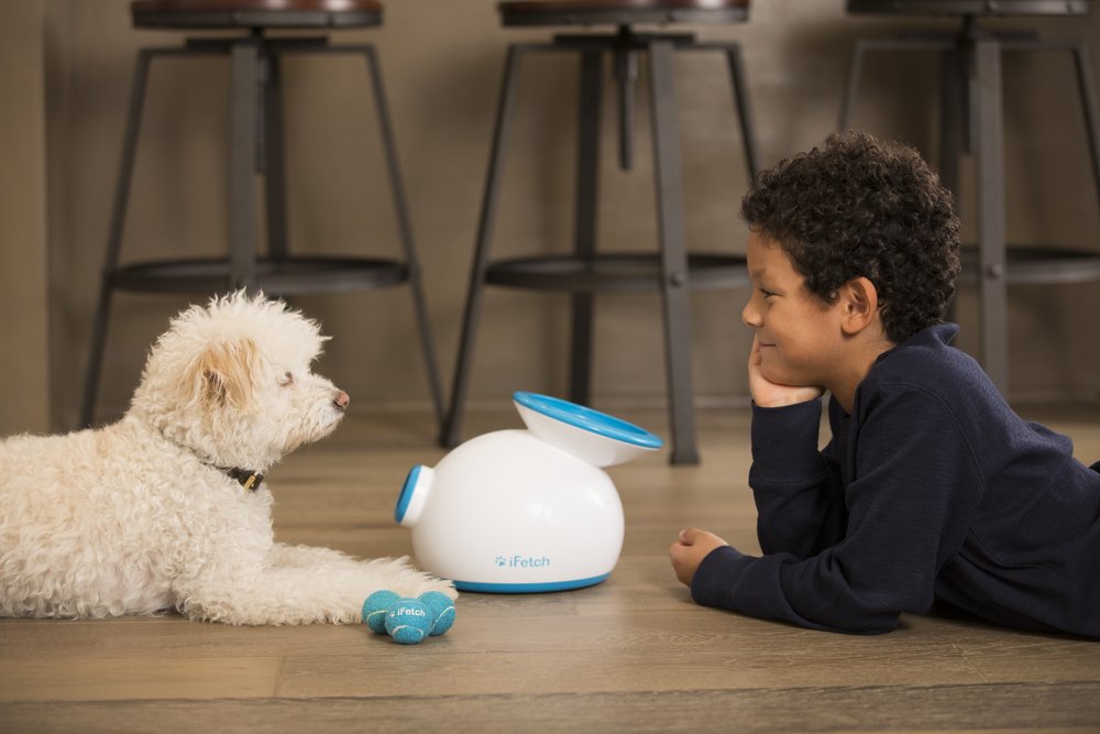 AI 解析貓咪便便、IoT 項圈幫狗狗交朋友，用科技寵毛孩商機無極限